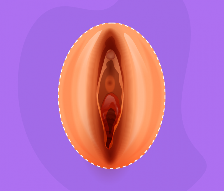 Clitoris and vagina